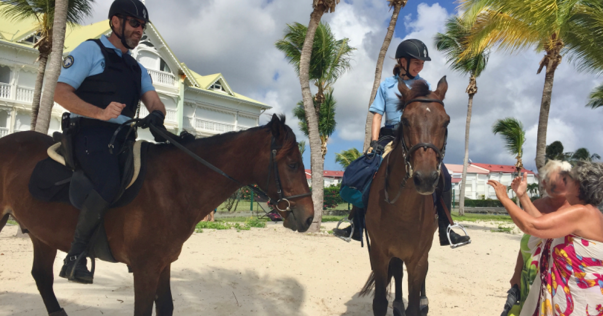     





Les gendarmes se remettent en selle




