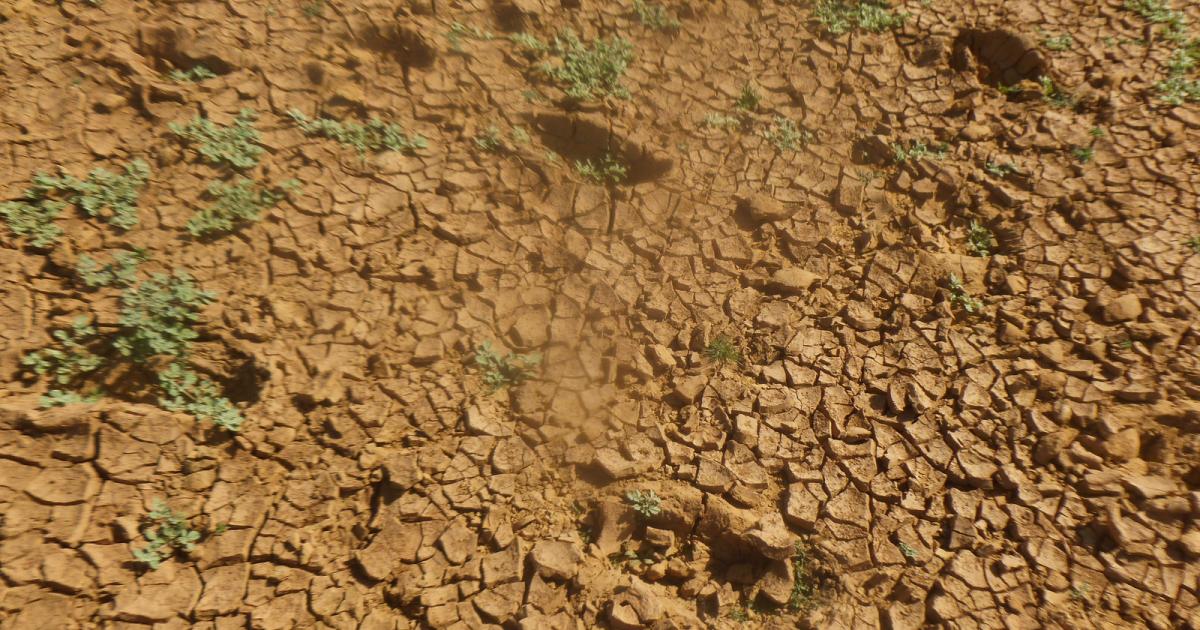 Météo : un mois de novembre plus sec que d'habitude