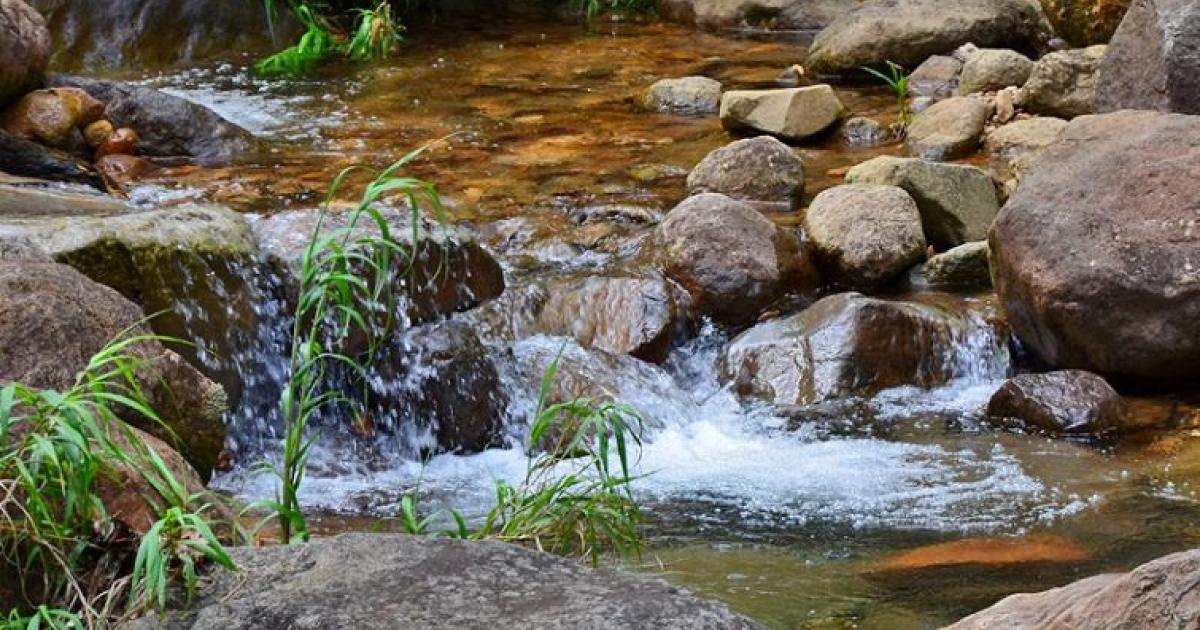 Vivifiante et bienfaitrice, la rivière Rouge vous attend