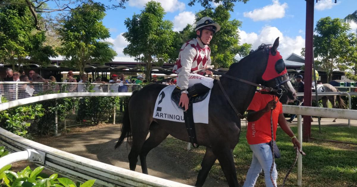     





Victoire de Falcofollies au Grand Prix de la CTM





