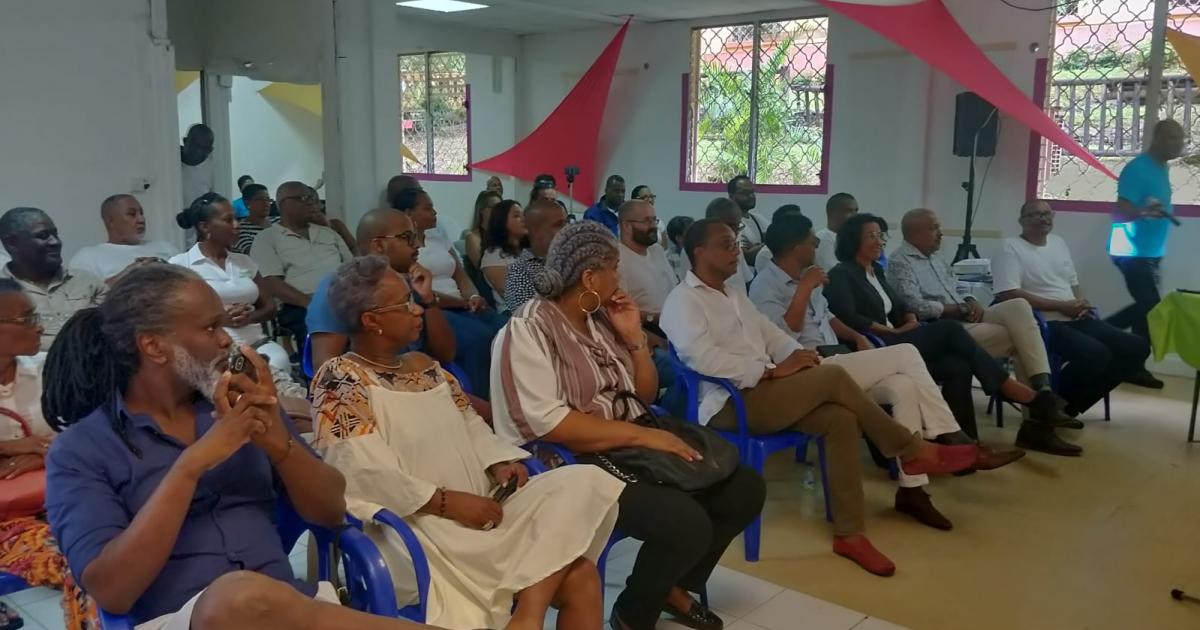 Municipales 2020 : Nathalie Jos se lance dans la course à Fort-de-France