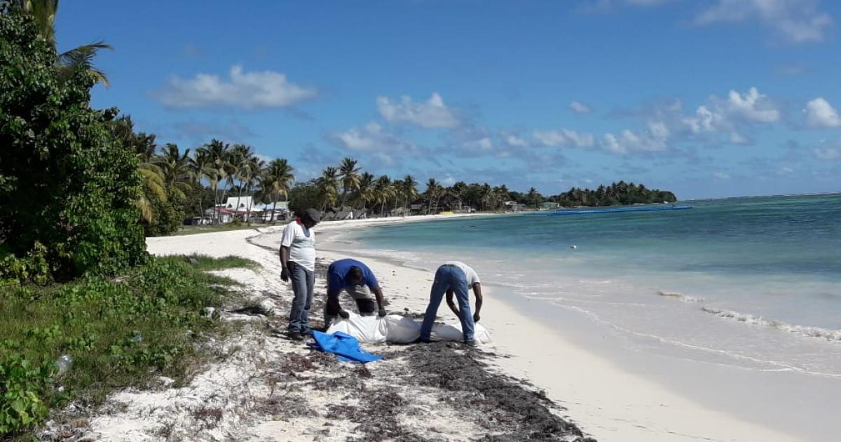 Un homme découvert mort sur la plage à Grand-Bourg