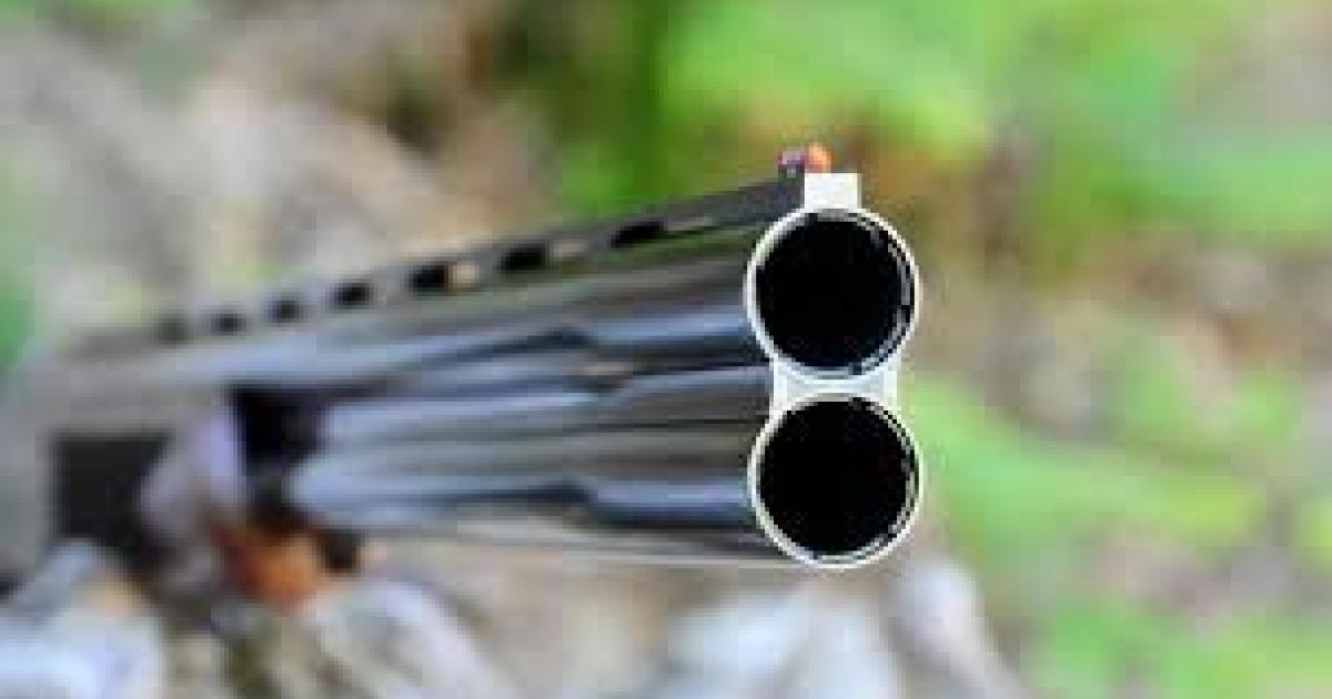 2 enfants blessés par des tirs en Guadeloupe
