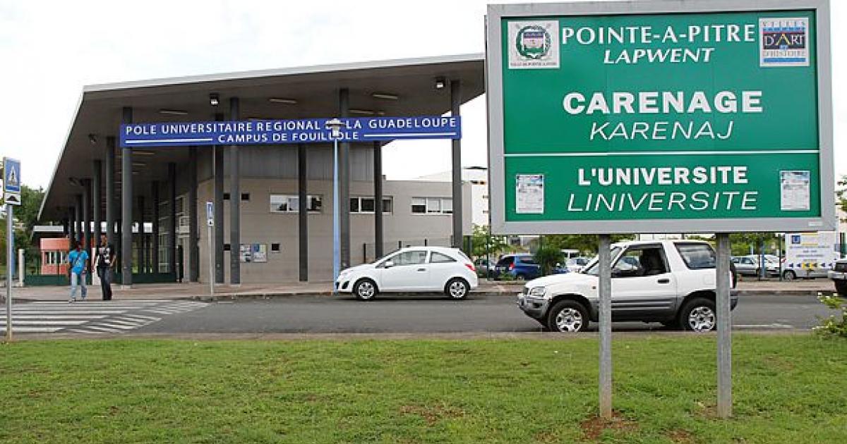 Université des Antilles : les professeurs dénoncent des conditions de travail qui se dégradent