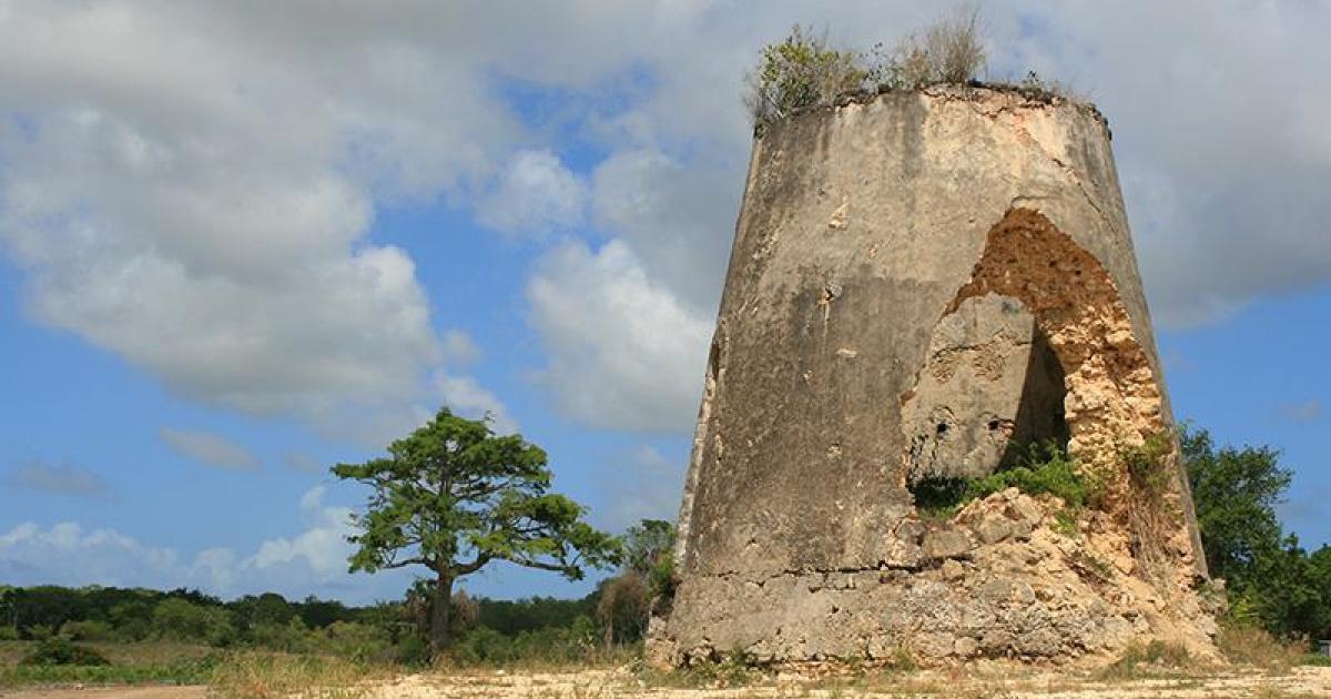 Sur le sentier des moulins, les trésors du Nord sont à vos pieds