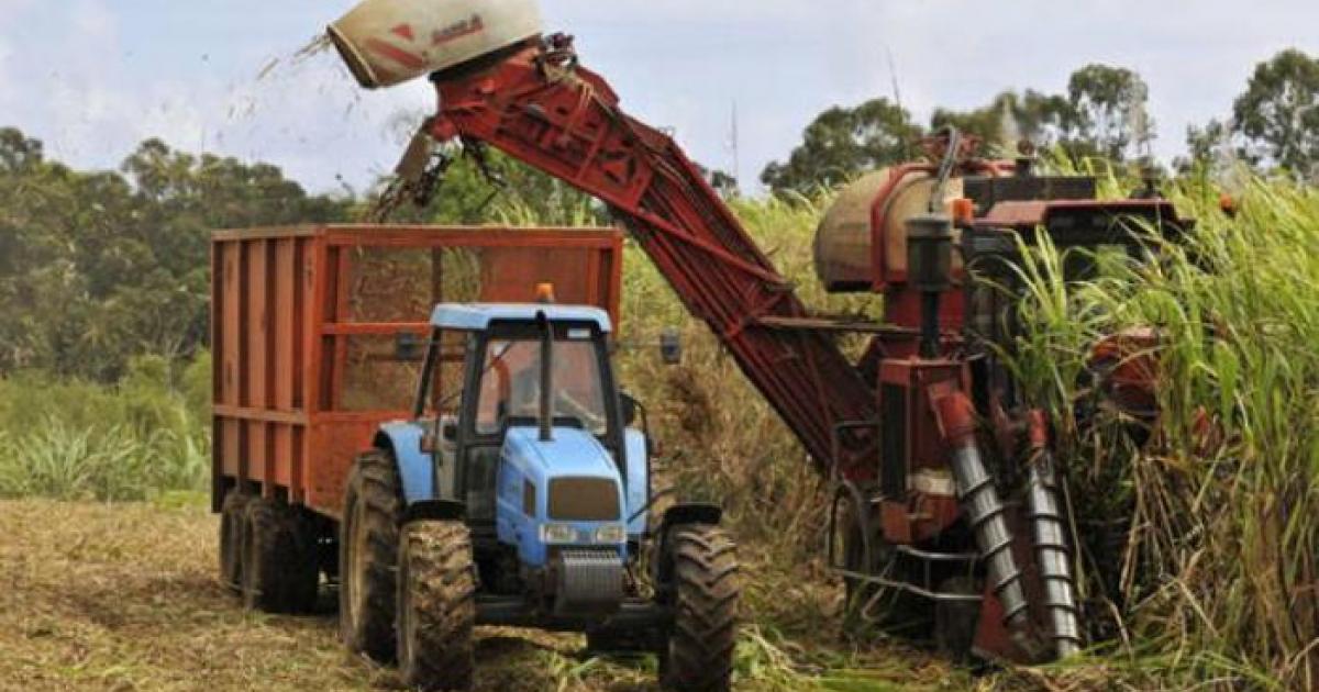     





La campagne sucrière 2020 officiellement ouverte




