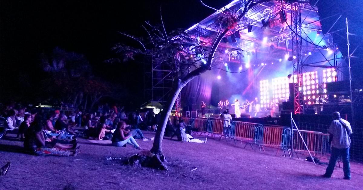 La programmation du Terre de Blues 2020 a été dévoilée