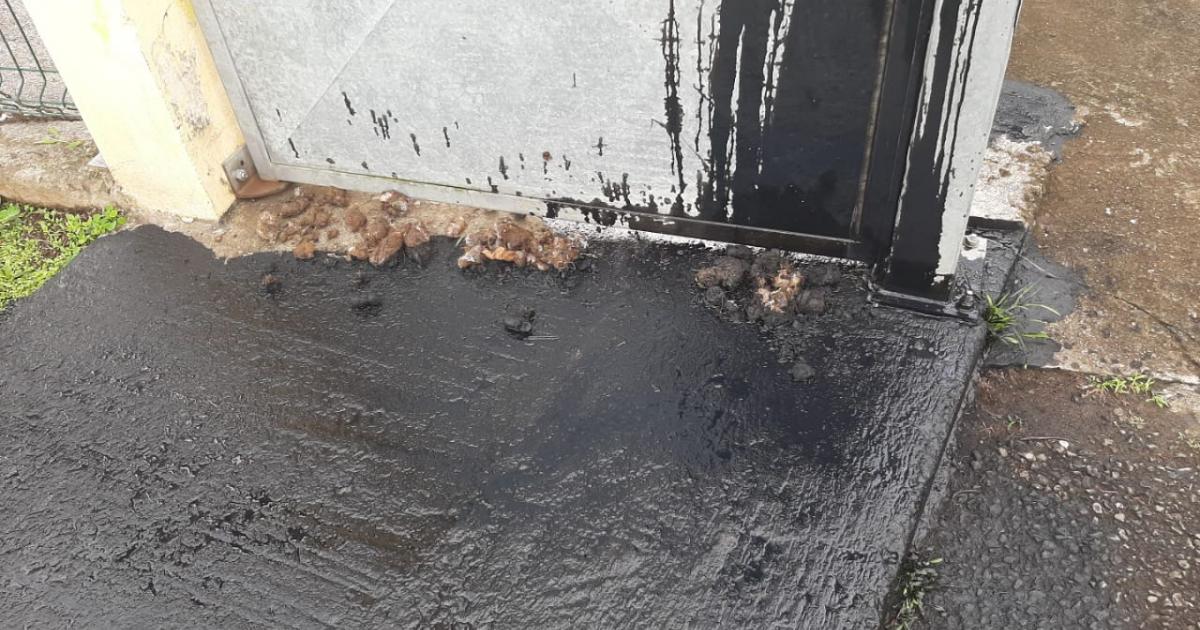 De la colle dans les serrures, de l'huile et des excréments sur les façades des écoles au Gros-Morne