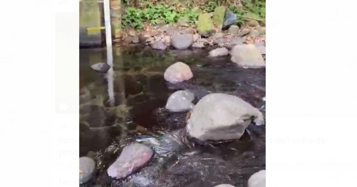     





Odyssi et la SME font les frais de la baisse des cours d'eau 




