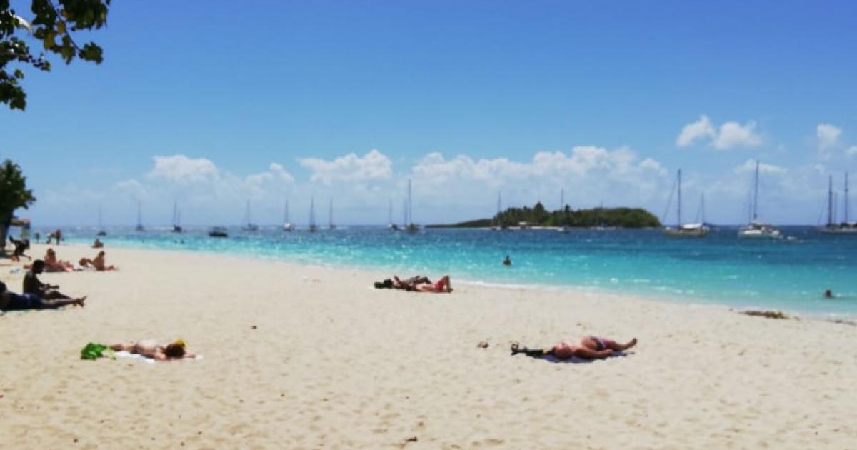 Les Antilles, destinations plébiscitées pour les vacances de février