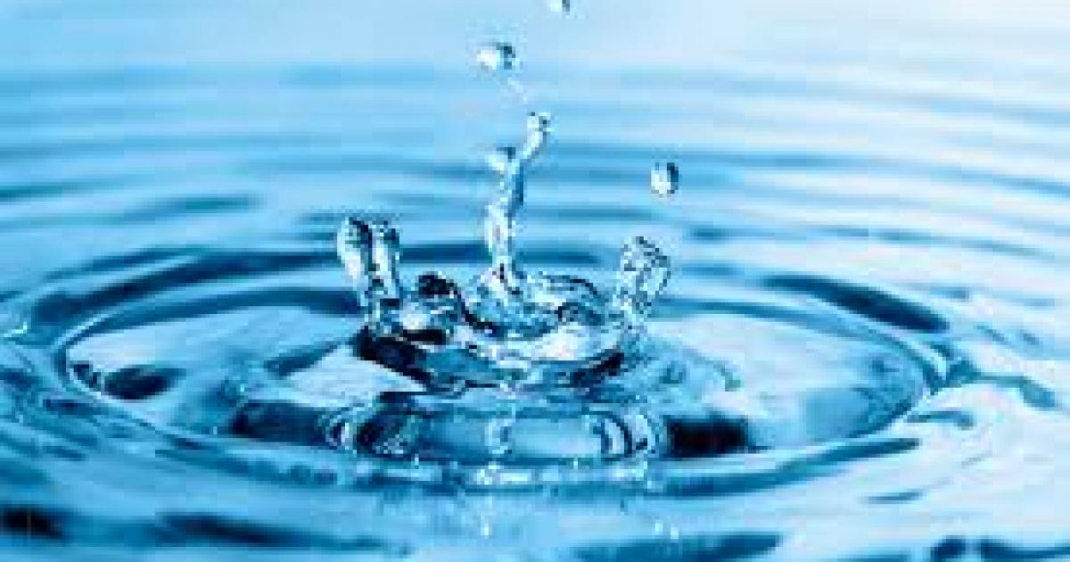 Distribution en eau : les élus visitent la source Morestin au Morne-Rouge