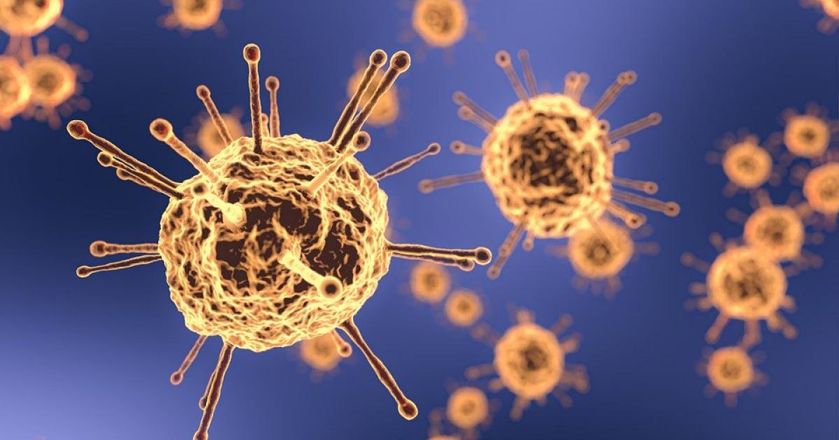 Le virus circule toujours activement à Saint-Martin