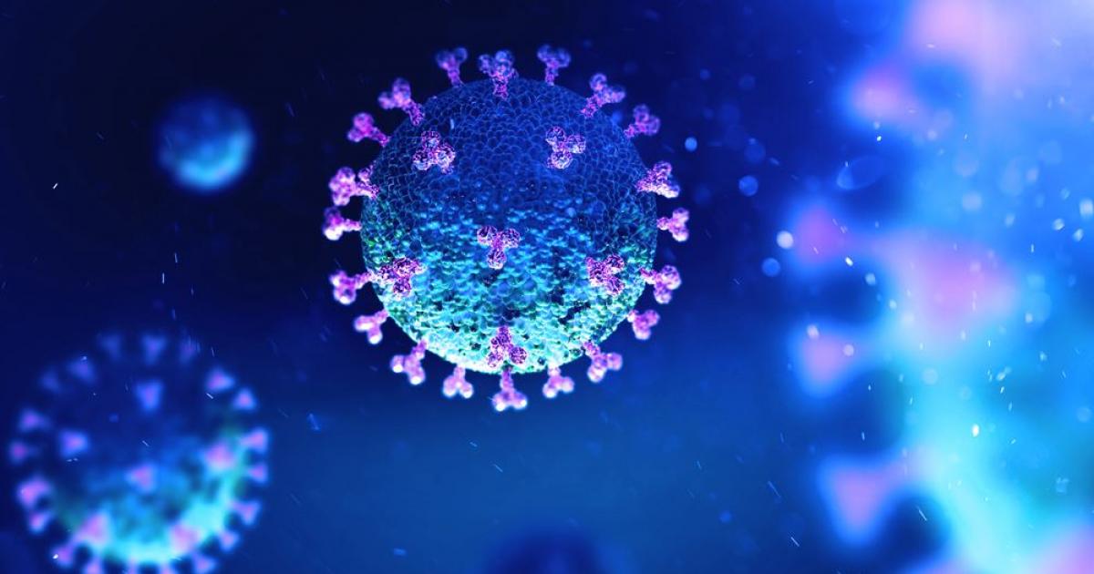 Coronavirus : 111 cas, 12 patients en réanimation