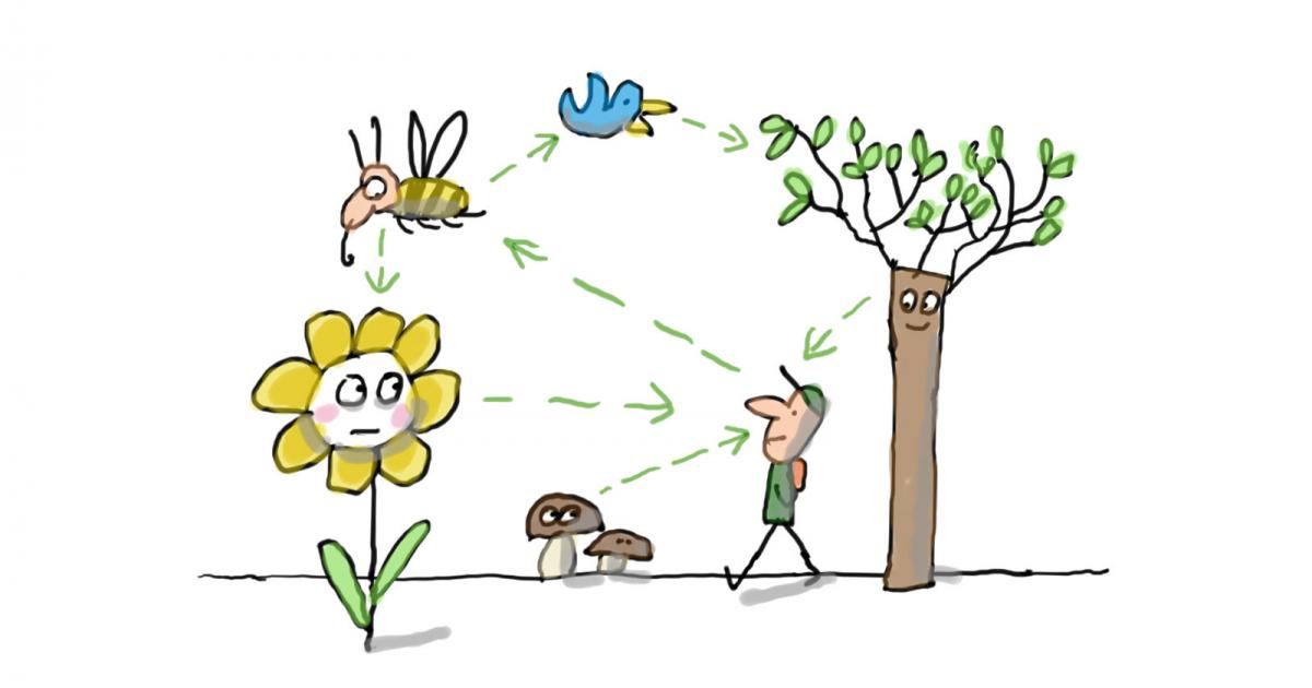 Biodiversité : Milan Presse lance un prix spécial Outremer