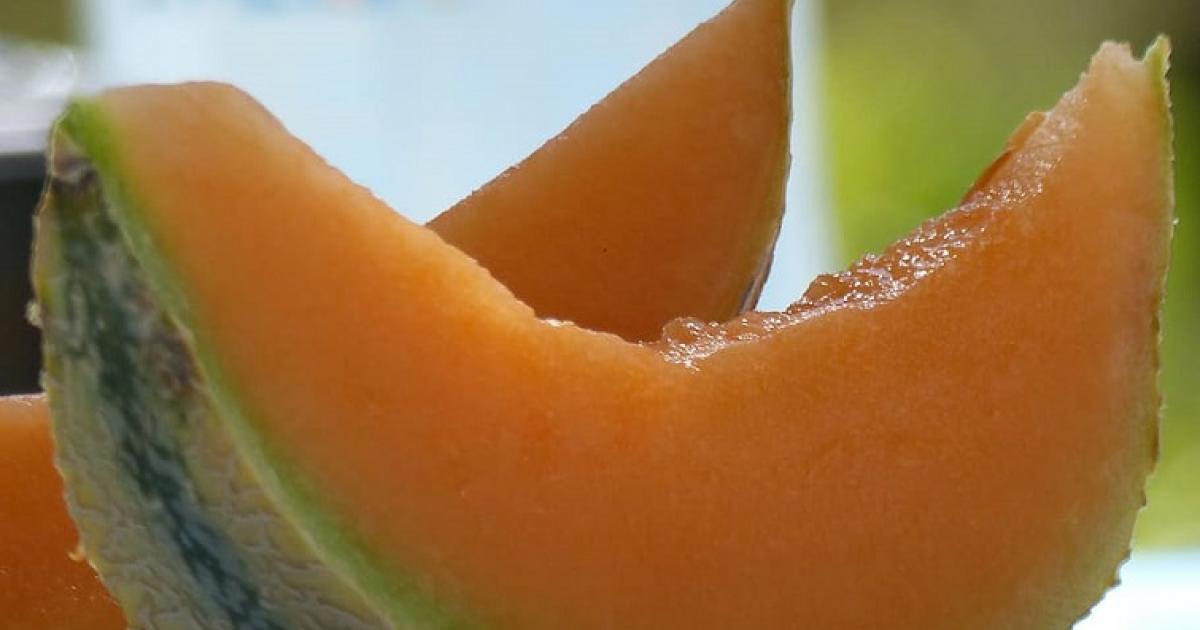     





Pertes, coronavirus, météo... Les melonniers en difficulté, malgré de la qualité




