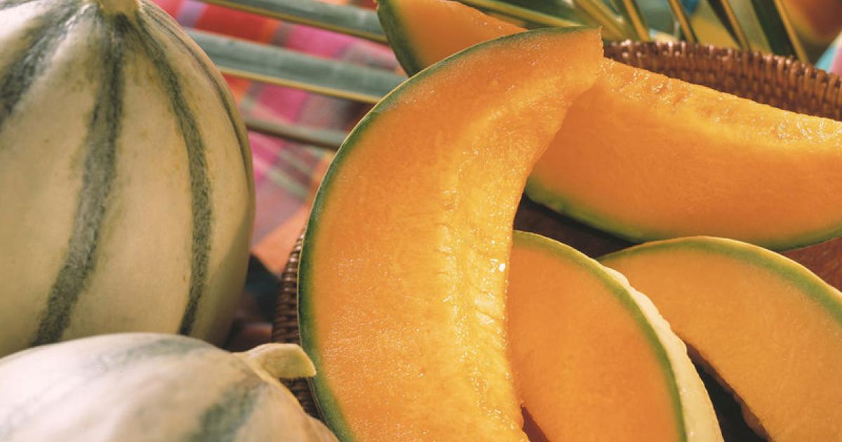 300.000€ débloqués pour soulager les melonniers inquiets