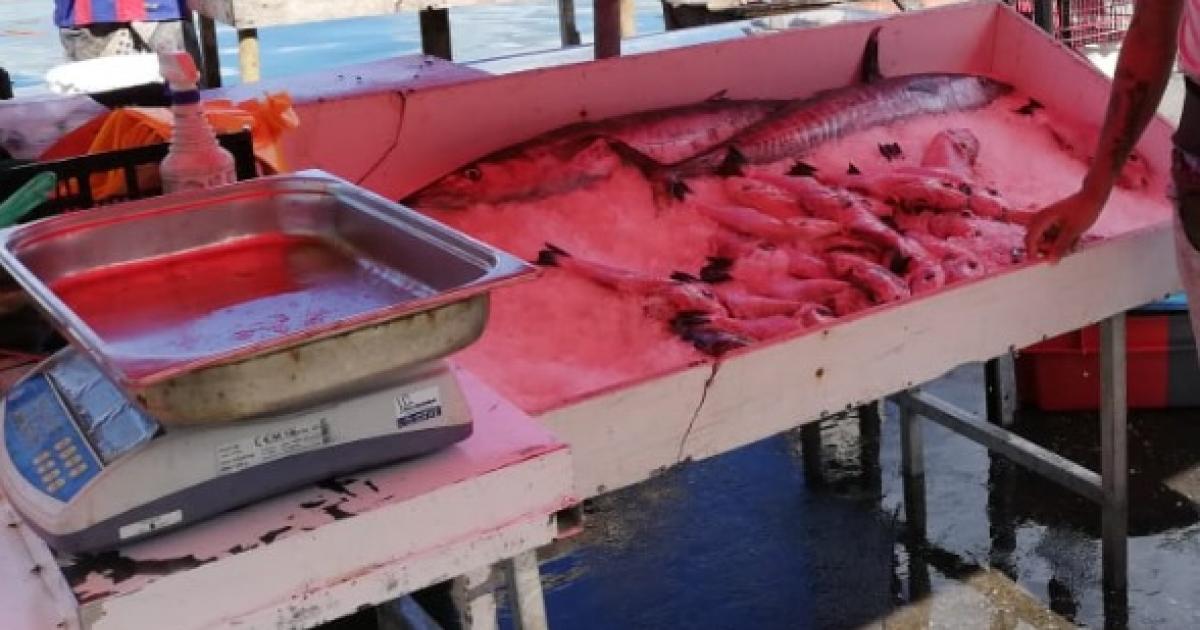 Le prix du poisson flambe sur certains marchés