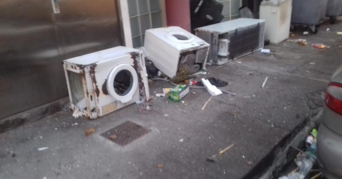 Les nuisibles prolifèrent dans les rues foyalaises