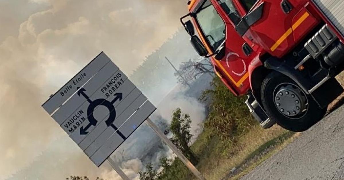 Un feu de broussailles maîtrisé par les pompiers au Vauclin
