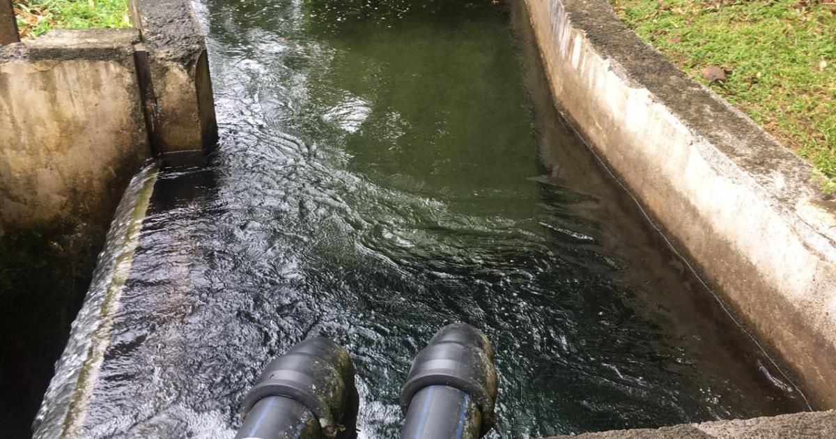 Coupures d'eau : les travaux avancent à Saint-Joseph
