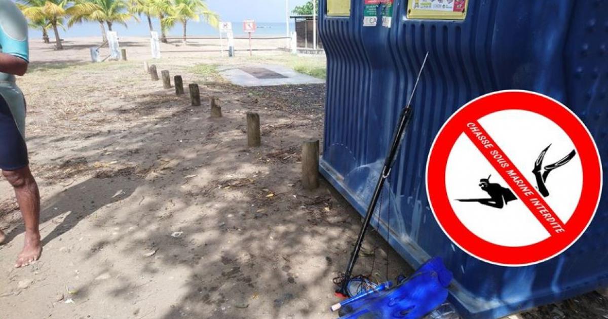     





Un Ducossais verbalisé à Schoelcher en train de faire de la pêche sous-marine




