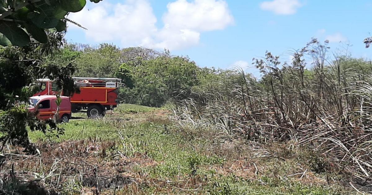 Il succombe à un malaise après l'incendie de son champ