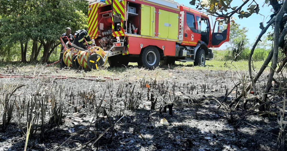 3 hectares de cannes partent en fumée à Petit-Canal
