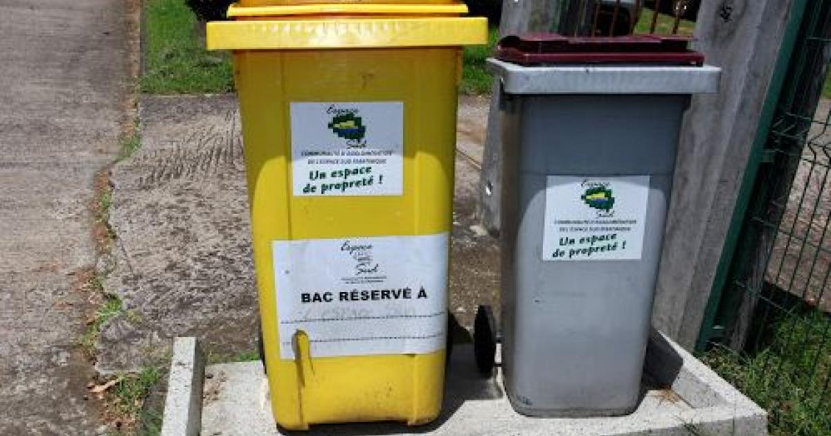     





Collecte des déchets : un service minimum mis en place dans le sud




