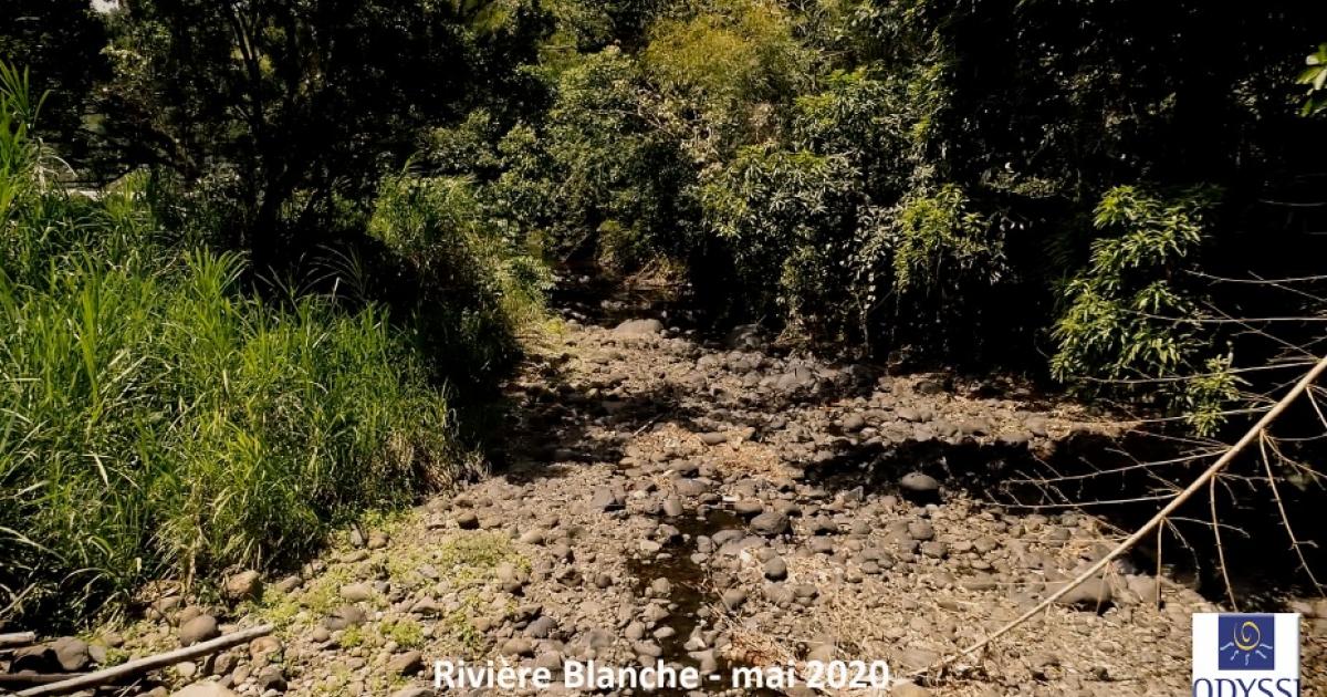 Odyssi et la SME alertent sur le niveau plus qu'inquiétant des rivières de Martinique