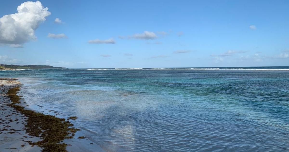     





Fermeture complète des plages à Sainte-Anne sur décision du maire




