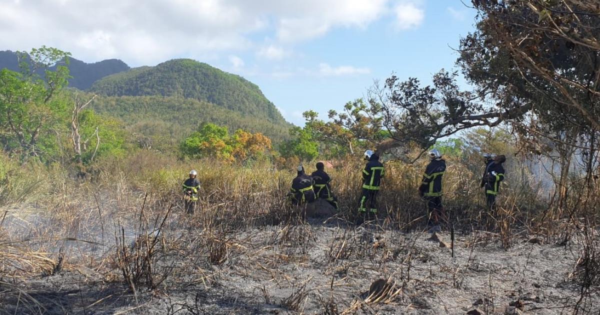 Un feu de broussailles a mobilisé les pompiers pendant 8h