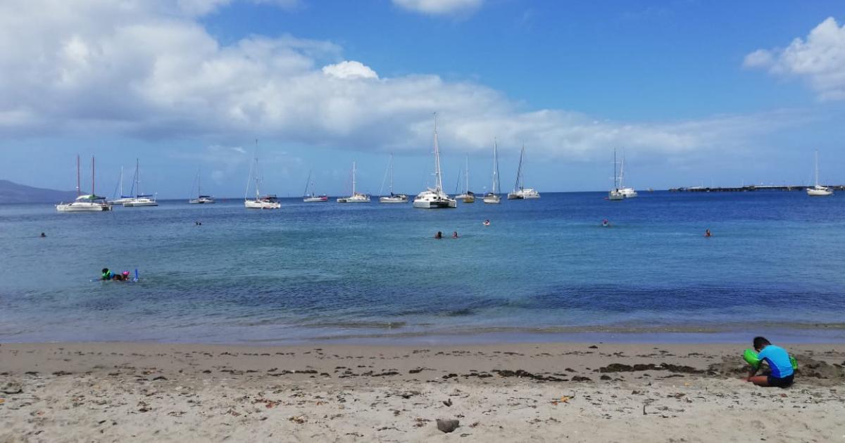     





98% des eaux de baignade sont aux normes en Martinique




