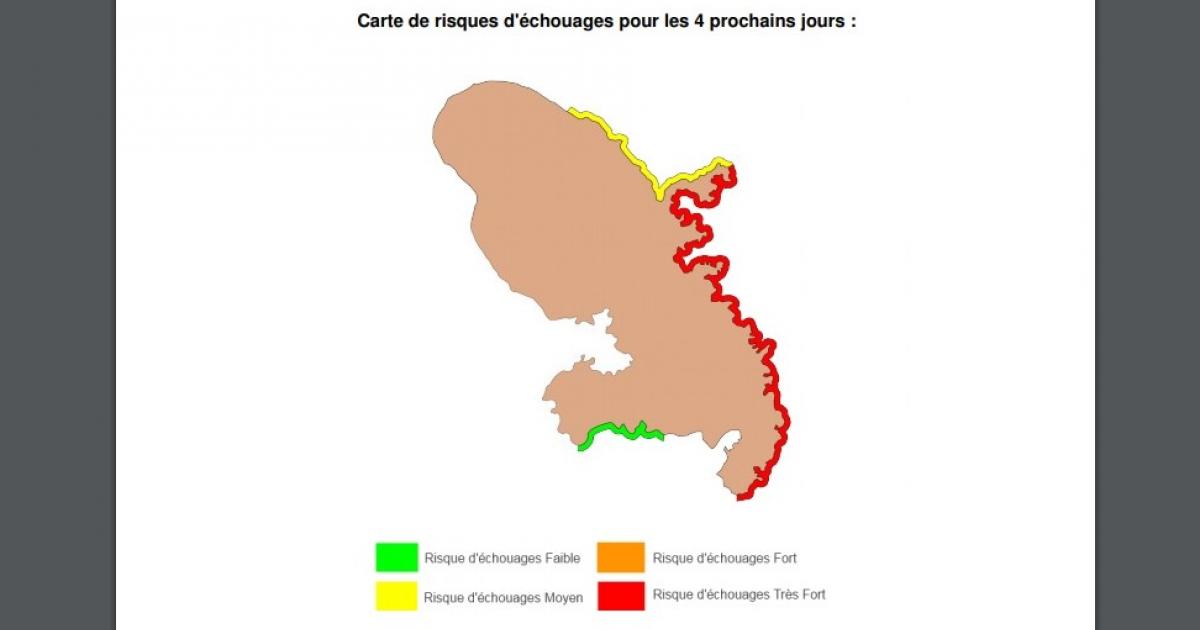 Sargasses : des nappes d’algues en approche de la côte Atlantique