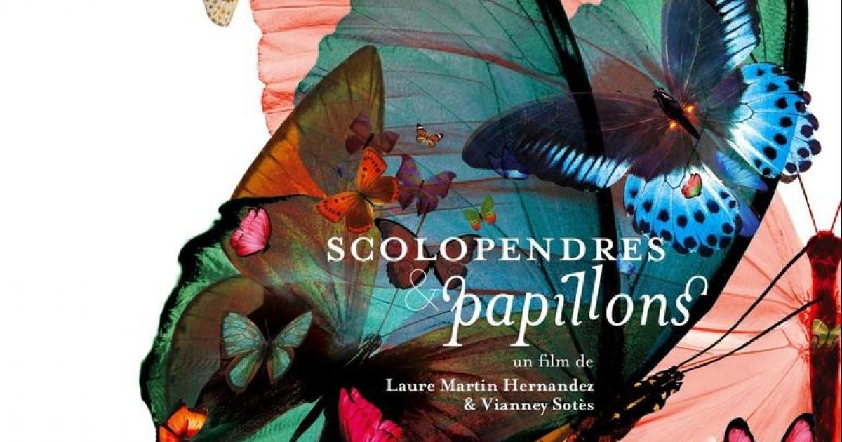     





"Scolopendre et papillon", un film primé sur l'inceste diffusé sur internet





