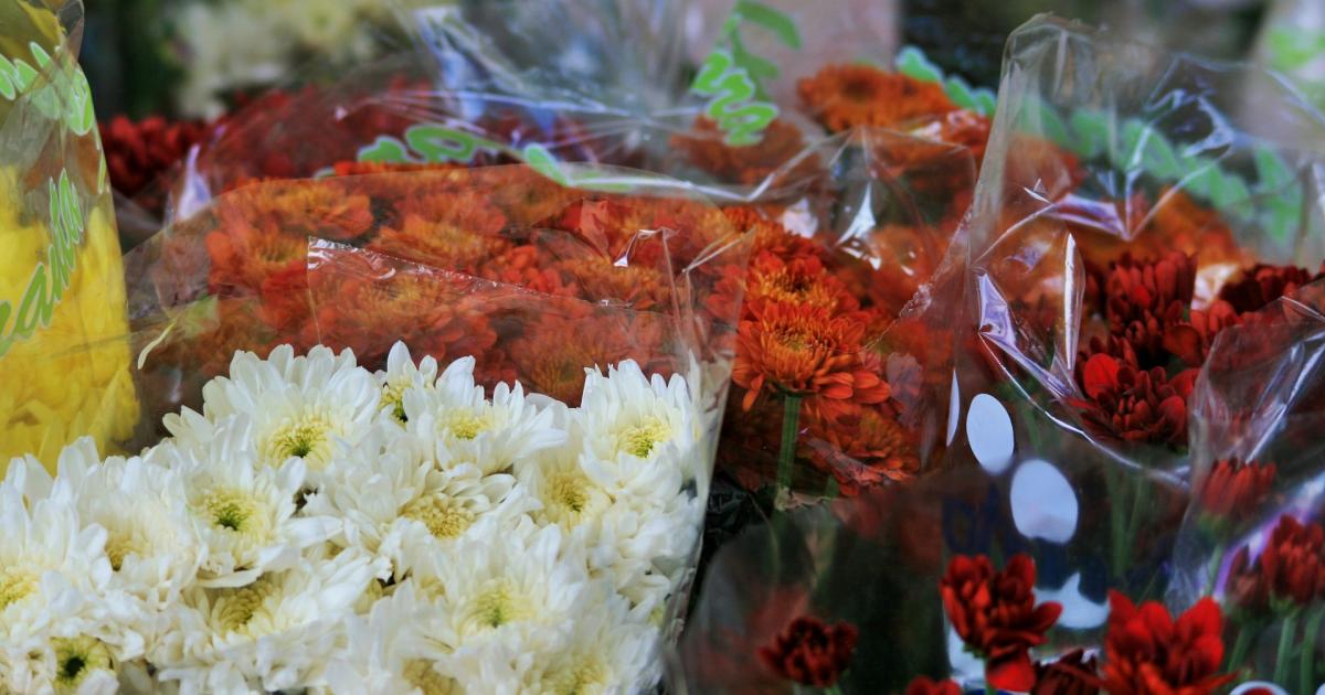 Les fleuristes, parmi les grands perdants de la crise sanitaire