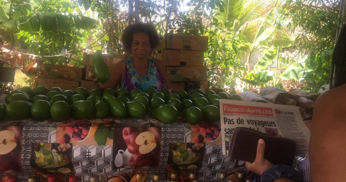     





France-Antilles : la joie des retrouvailles avec les lecteurs




