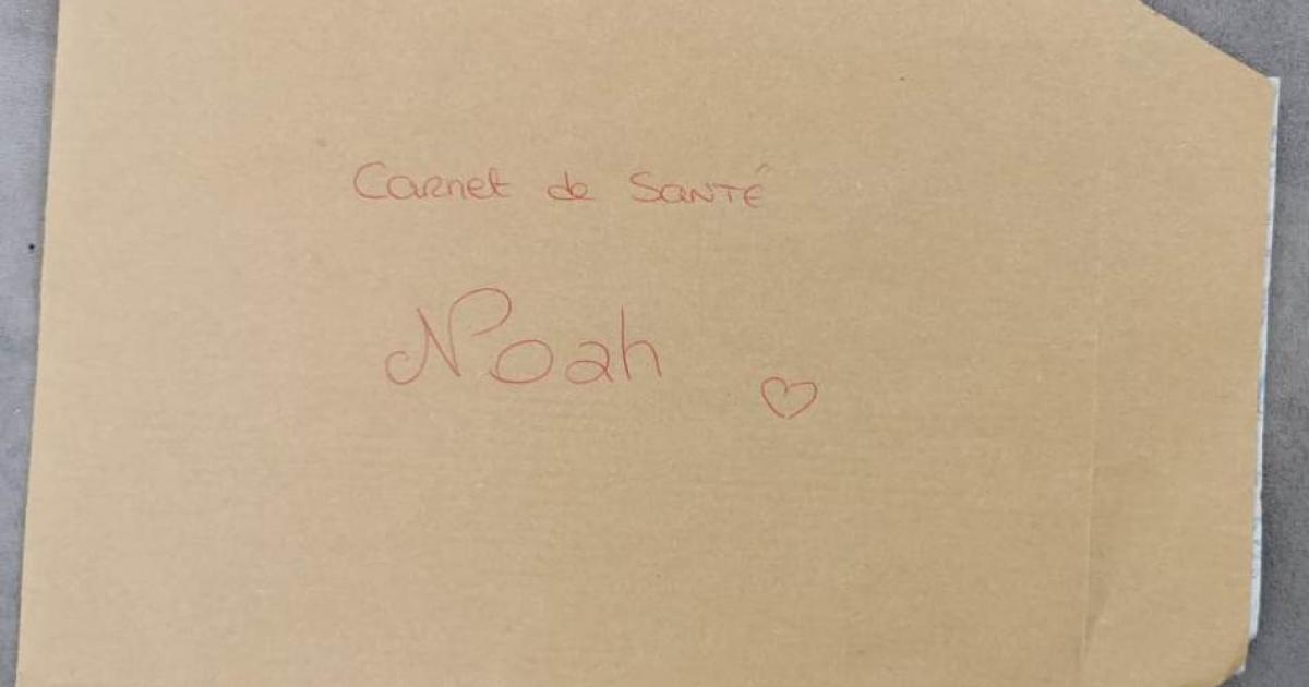     





Pénurie de carnets de santé en Guadeloupe




