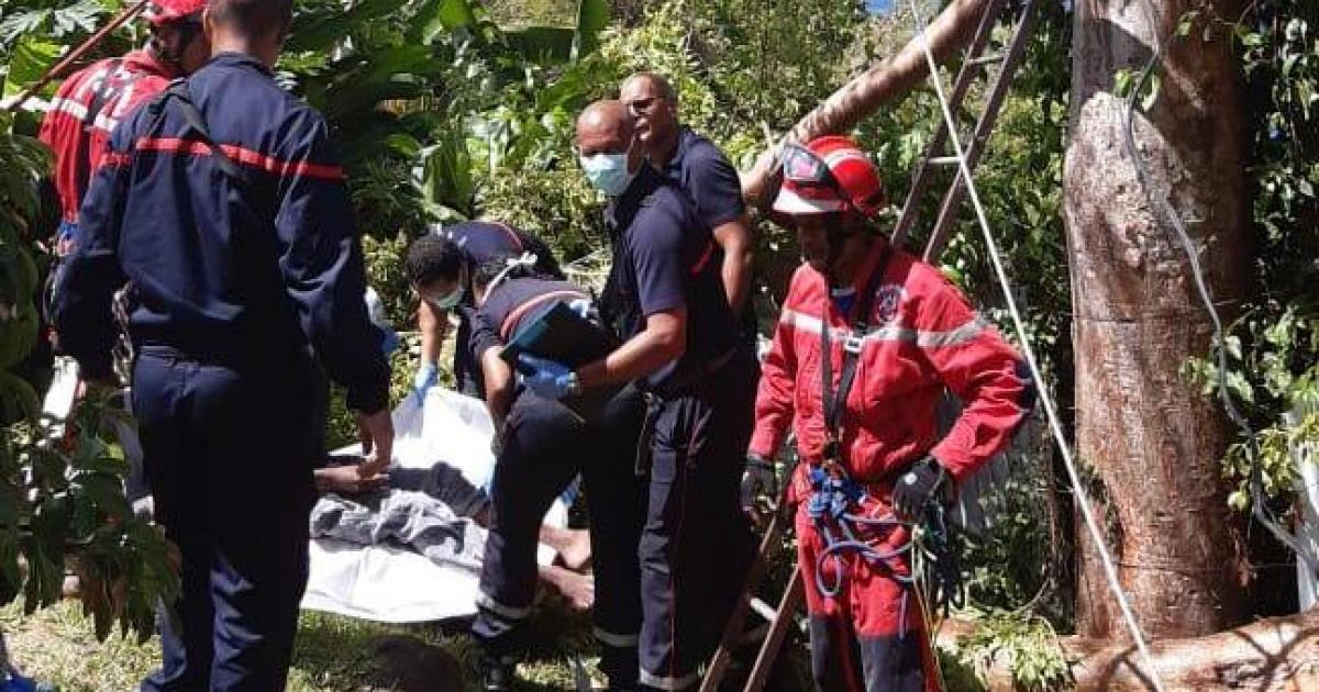 Bloqué dans un arbre, il est sauvé par les pompiers