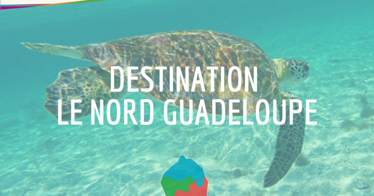 Le Nord Grande-Terre se lance dans le tourisme insolite