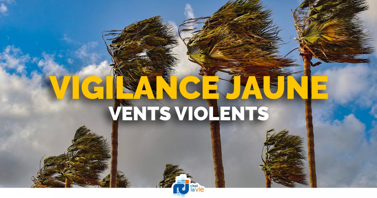 Ouragan Elsa : les secours multiplient les interventions à cause du vent