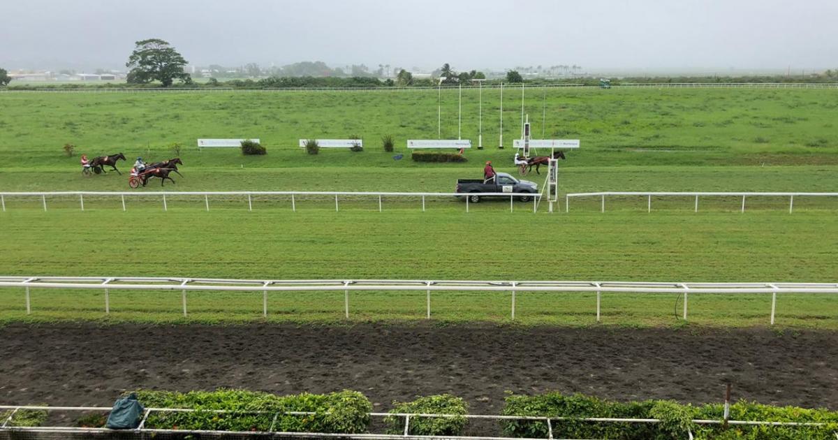À Carrère, une reprise au galop mais sans les paris