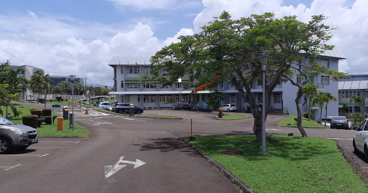 L’accueil de la CGSS Martinique évolue à partir du 15 juillet 2020