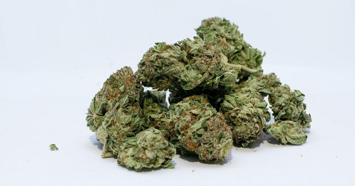 Deux enfants hospitalisés à la MFME suite à l’ingestion de résine de cannabis