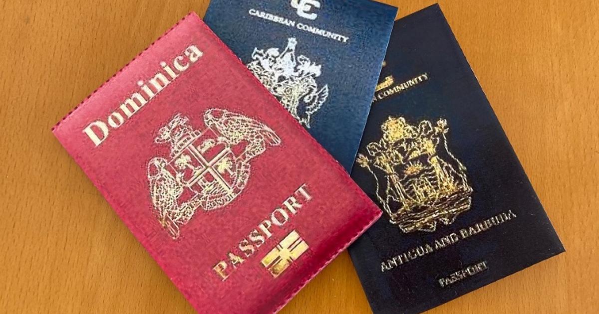 Covid-19 : l'achat de passeport en plein essor, notamment aux Caraïbes