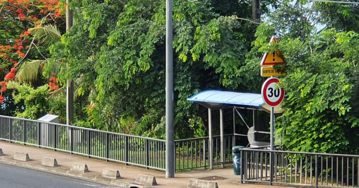 La galère continue pour les usagers du réseau Mozaïk