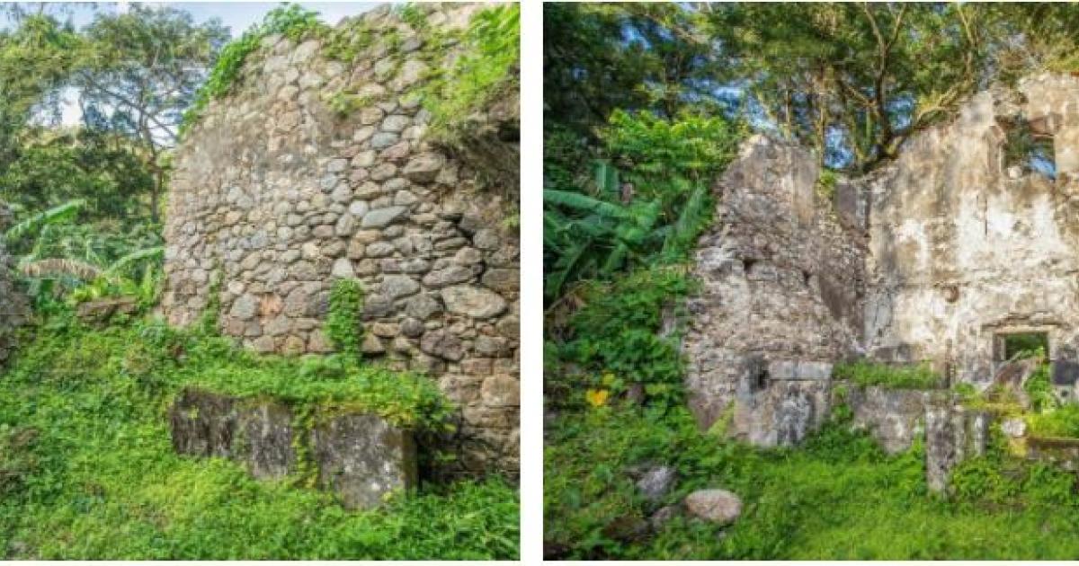     





L'habitation Céron bénéficiera elle aussi du loto du patrimoine




