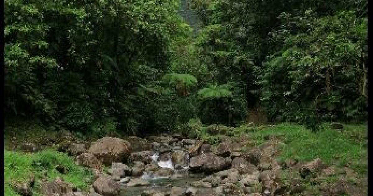     





Le randonneur disparu à l'Alma a été retrouvé par son père




