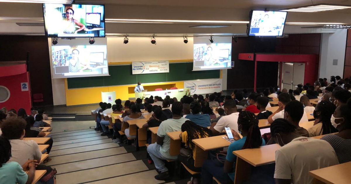 Coronavirus : l'université des Antilles mise sur le digital
