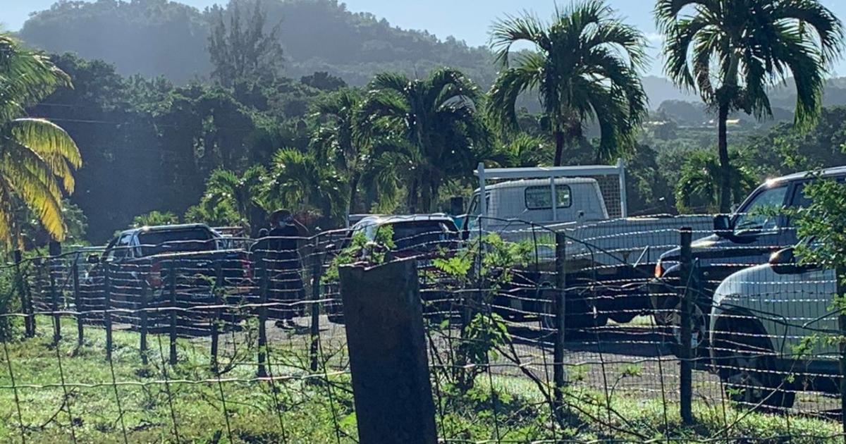 Des planteurs en colère à BANAMART