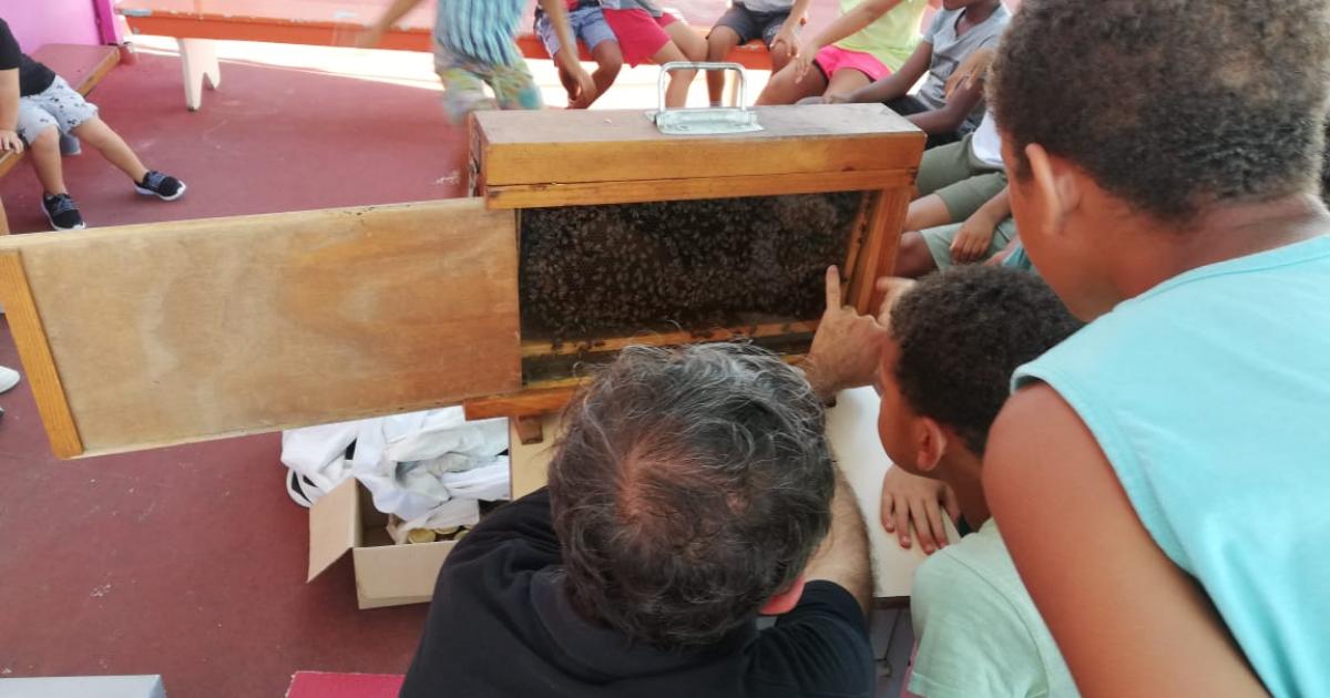 A la découverte des abeilles pendant les vacances